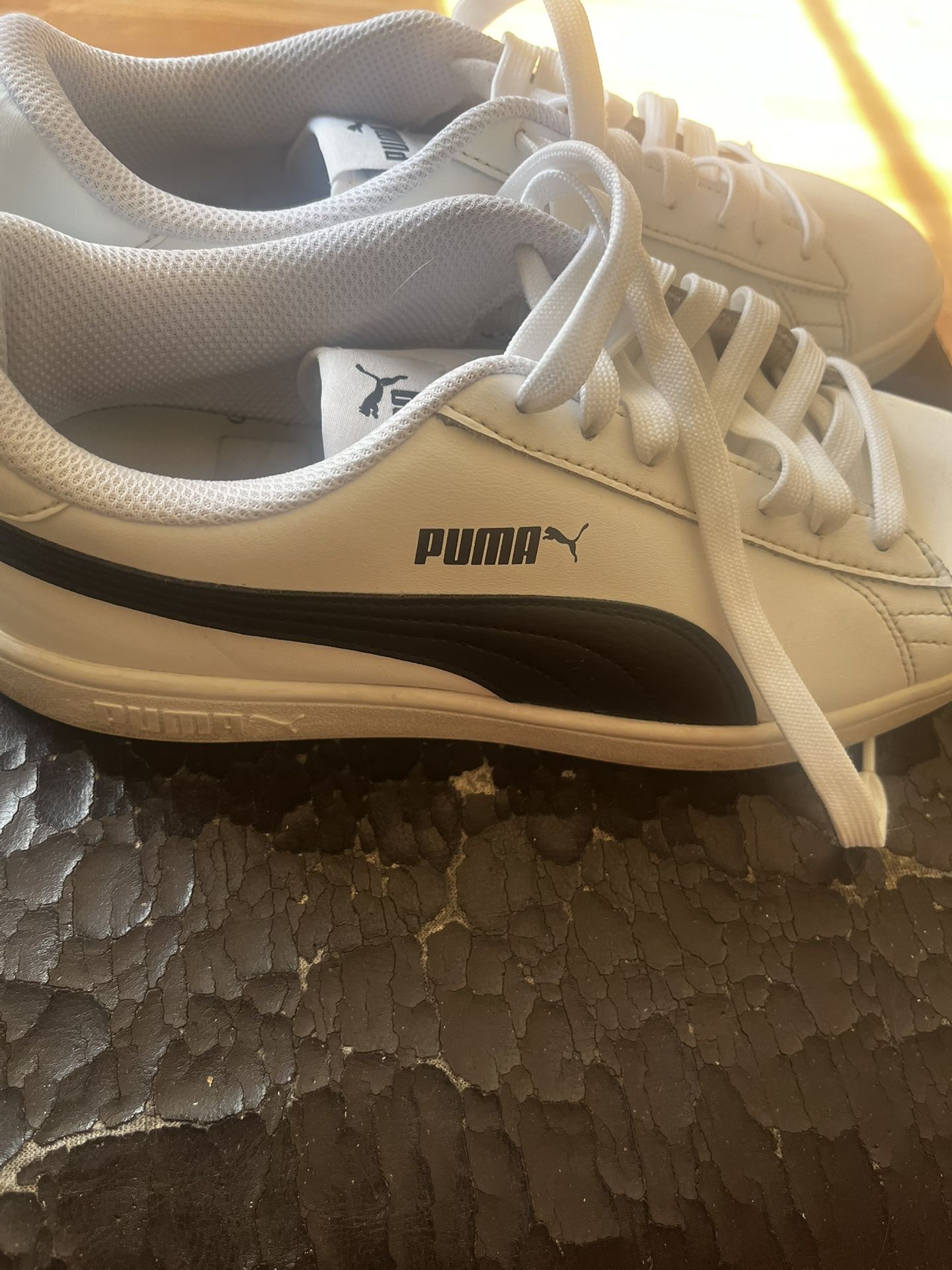 Mens Pumas Shoes 8.5