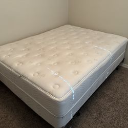 Queen Bed & Box Spring