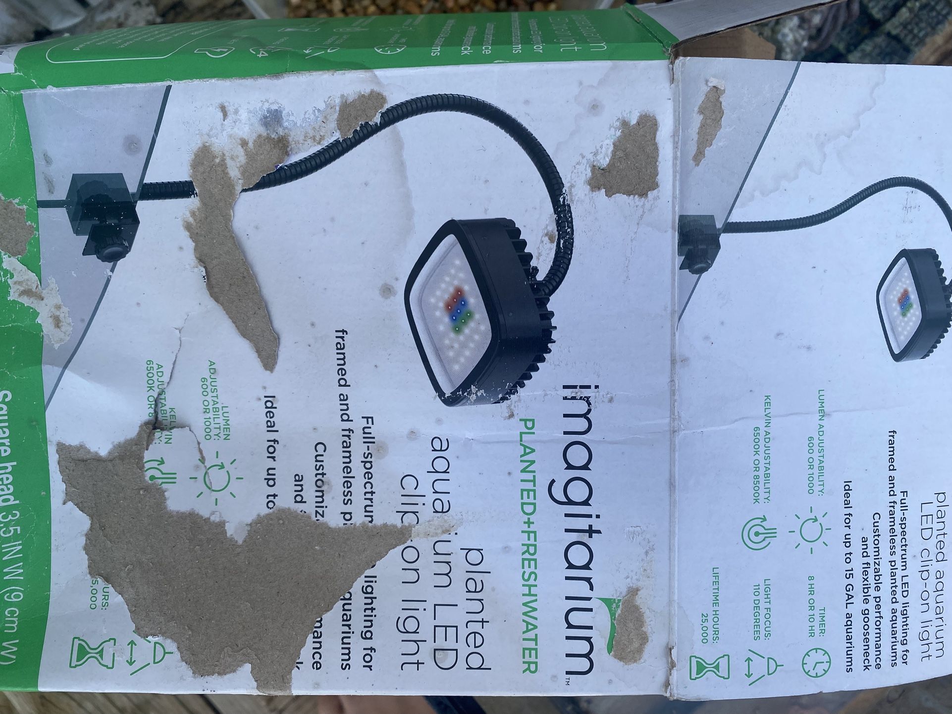 Everything To Start A Fish Tank