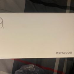 Ecoflow Delta 2 Or Delta Pro Ultra 