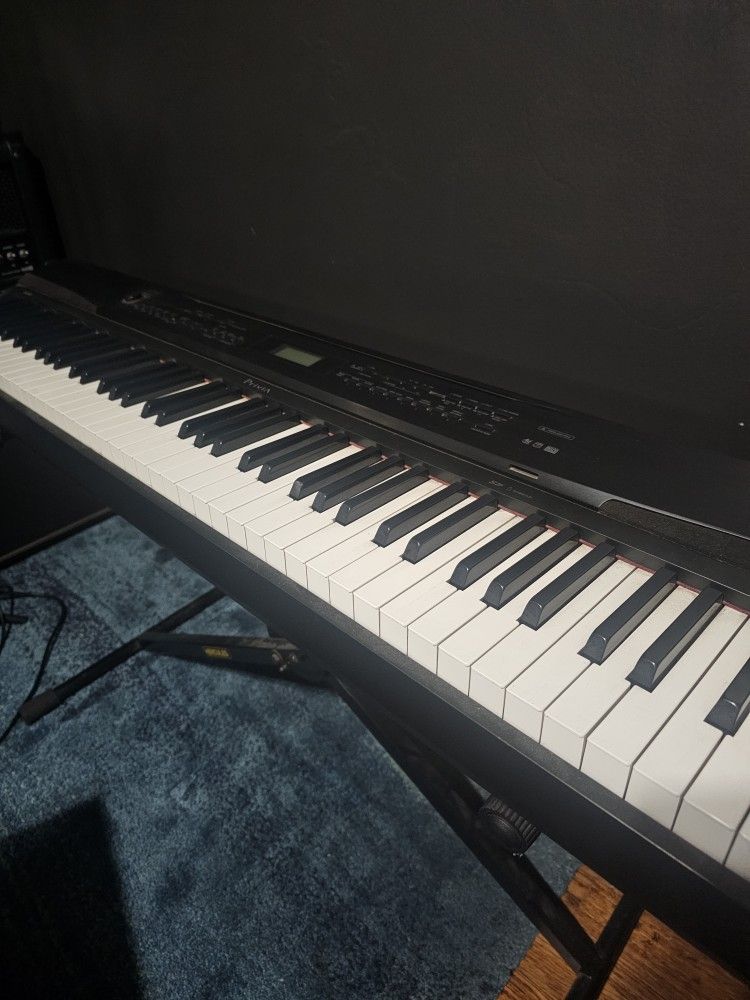Casio Keyboard With Stand