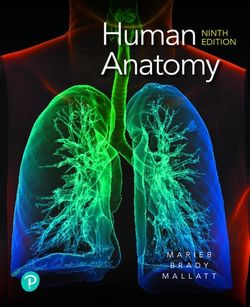 Human anatomy 9th edition