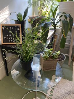 Fake Plants / Plants / Artificial Plants / Fake Plants / Plants / Plant Stand / Fake Plants 