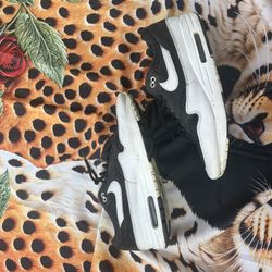 Nike Air Max 1 Size 11.5