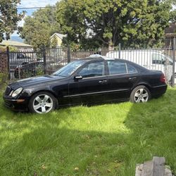 Rescue Her Or Someone Lame Will Get Her