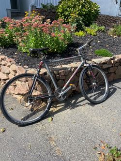 Specialized Mountain Bike