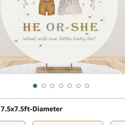 Gender Reveal Round Backdrop