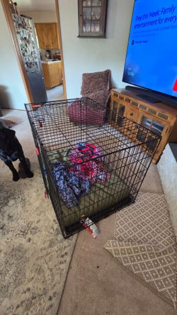 Kong Dog Kennel