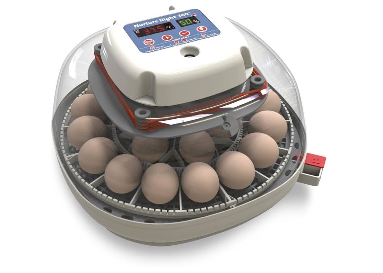 2 Nuture Right 360 Incubators