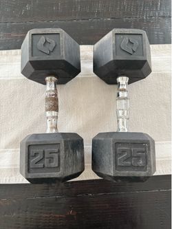 2 x 25lb weights - used