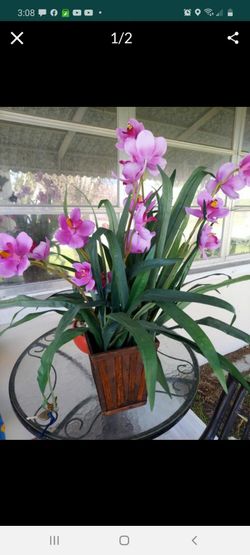 Beautiful Artificial Orchids
