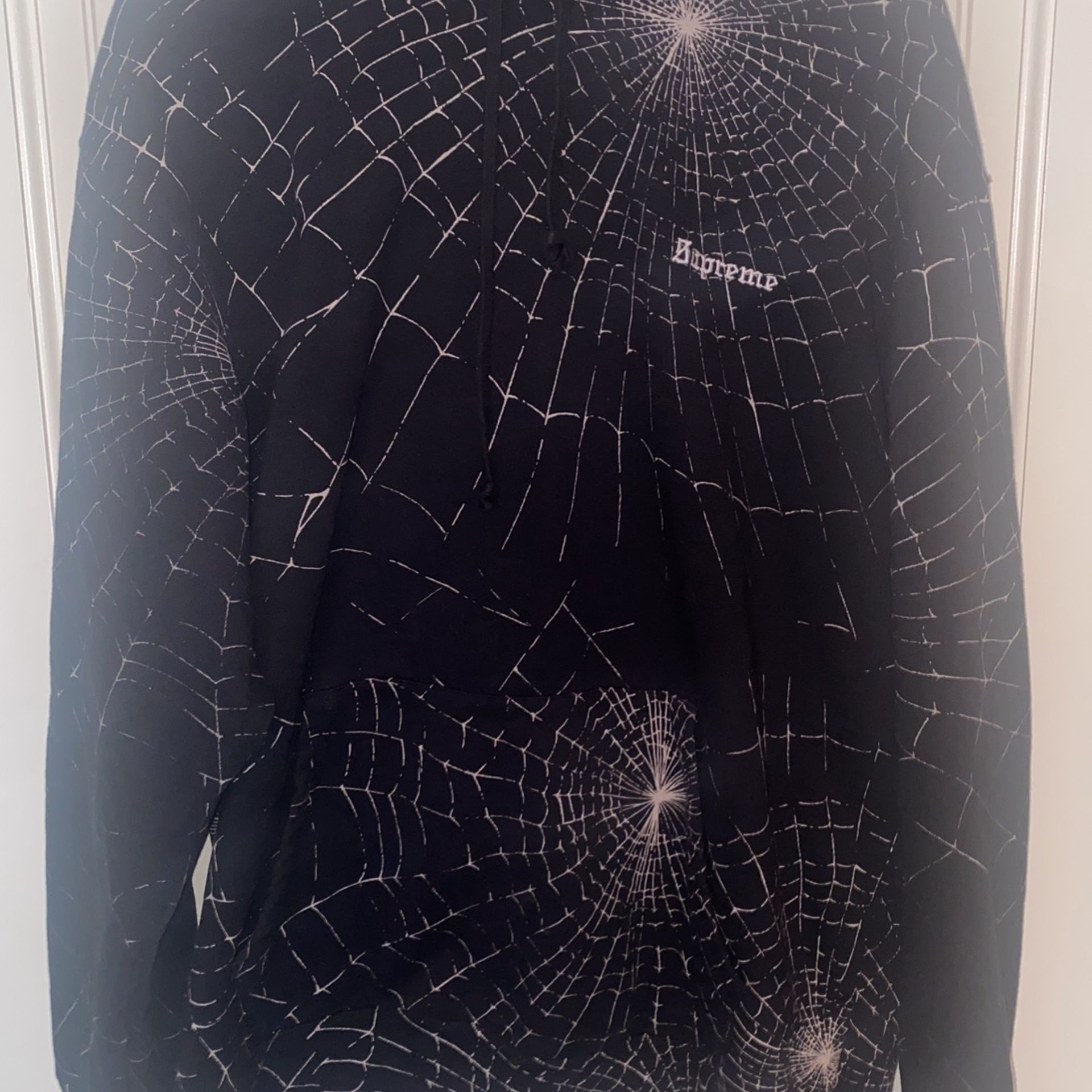 Supreme Spider Web Hoodie (2016)