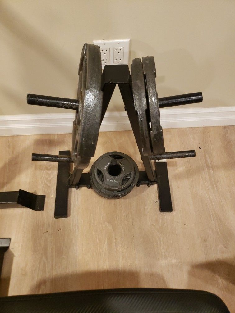 Olympic Gym Weights