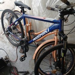 Nishiki Bike