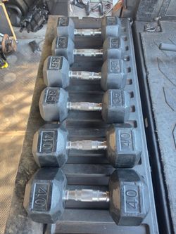 Weight Dumbbells