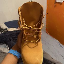 Timberland Wheat Waterproof “ Size 10 