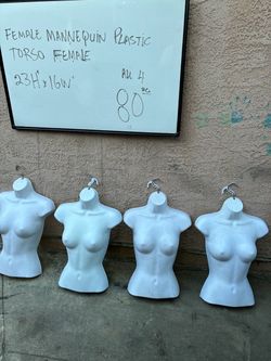 Female torso mannequin