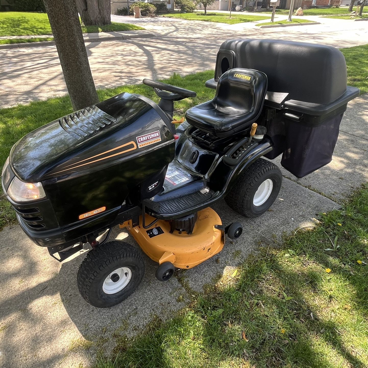 Professional Series Riding Lawn Mower With Bagger System for Sale in ...