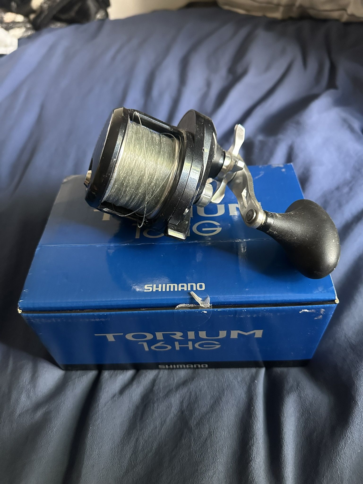 Shimano Torium 