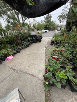 Yards sale  en San Bernardino