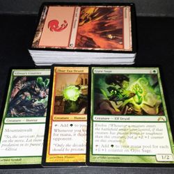 Zhur-Taa Swine Druids