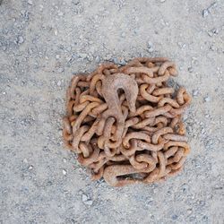 1 - 19' 5/8" Logging Chain W/Hooks