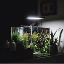 Ultra Clear Rimless Aquarium Tank 2-22 gallons Low Iron Glass (7Gal - Top Glass Canopy)