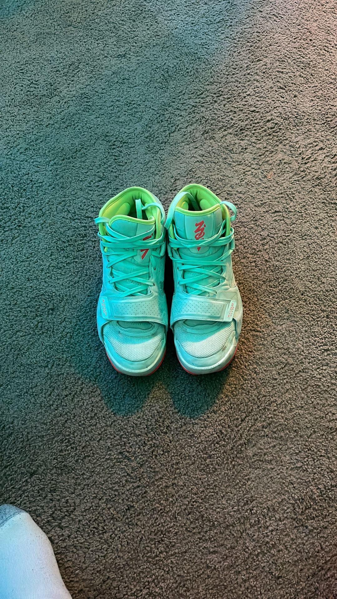 Jordan Zions
