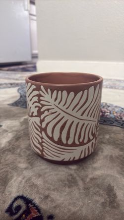 3 of the brown color and 5 of the white color Ceramic Planter with Fern Leaf Design