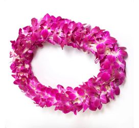 Fresh Lei graduation