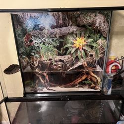 Reptile\ Amphibian Tank
