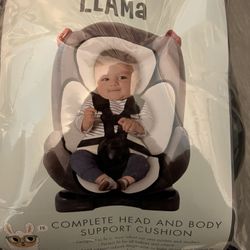 Head And Support For Car  Seat