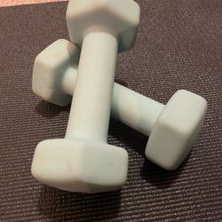 Light Blue 5 Lb Weights 