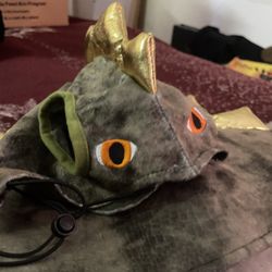 Dinosaur costume for dog