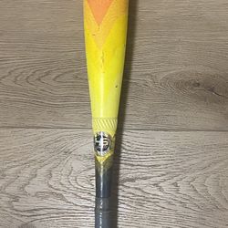 Hype Fire Baseball Bat
