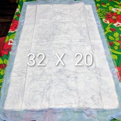 ABSORBENT  PADS  ( 5 PACKS, 5  PER PACK )