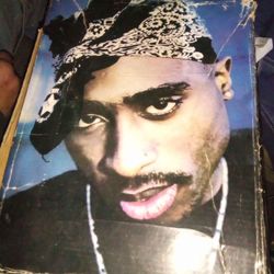 Makavel Branded shoes