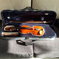 Reduced::D Z Strad Model 220 Violin And Case