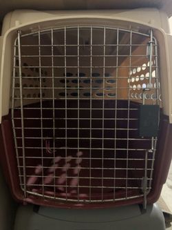 Dog Crates