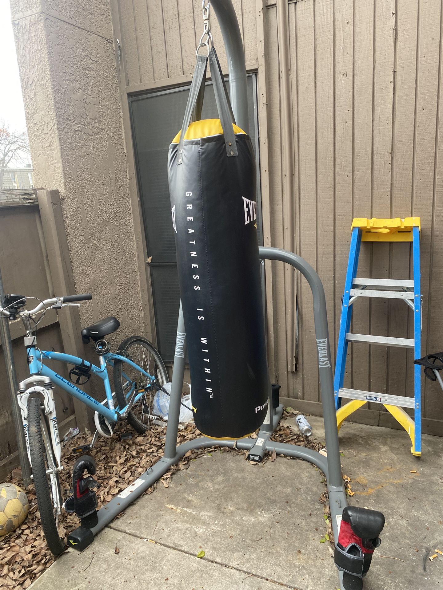 Punching Bag With Stand 