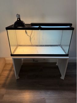 Reptile Tank