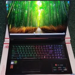 MSI Gaming 17" Laptop 