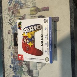 Nano Nintendo Switch Controller