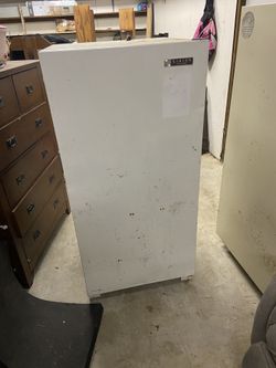Stand Up Freezer