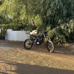 2025 Surron Ultra With Small Mods(NOT ACTUALLY $999)