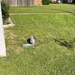 Grass Cutter