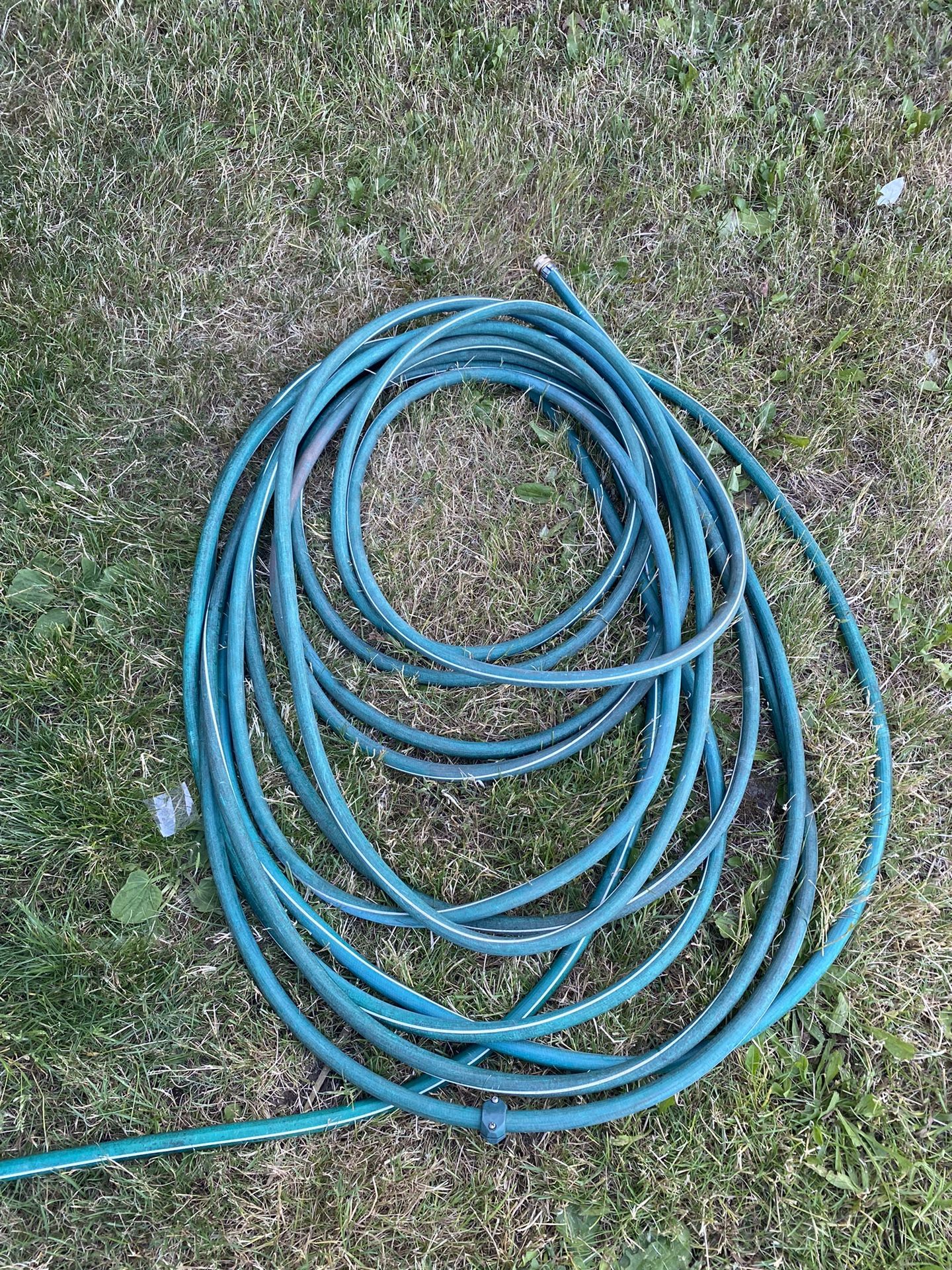 Garden Hose