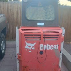 Bobcat  2007