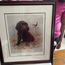 Pride And Joy Boykin Spaniel Puppy 26'By 23'