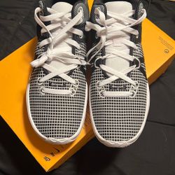 Nike LeBron Witness Boo Size 12